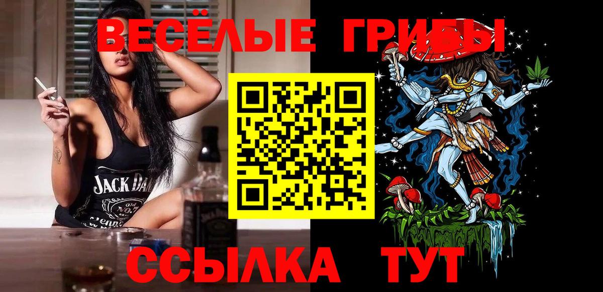 Ростов-на-Дону  что такое наркотик  Вход с VPN  Псилоцибиновые грибы Psilocybine cubensis  Галлюциногенные грибы Psilocybine cubensis 